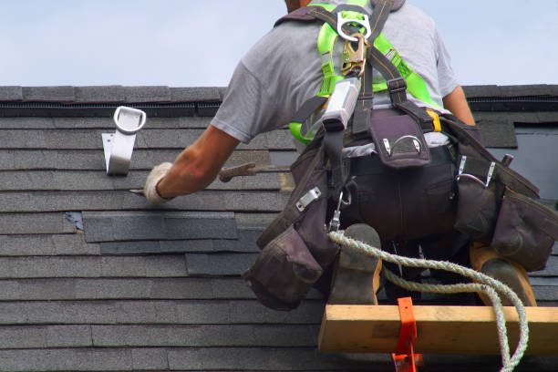 Best Roof Gutter Cleaning  in Payne, OH