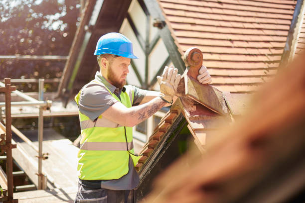 Best Storm Damage Roof Repair  in Payne, OH